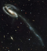 tadpole galaxy