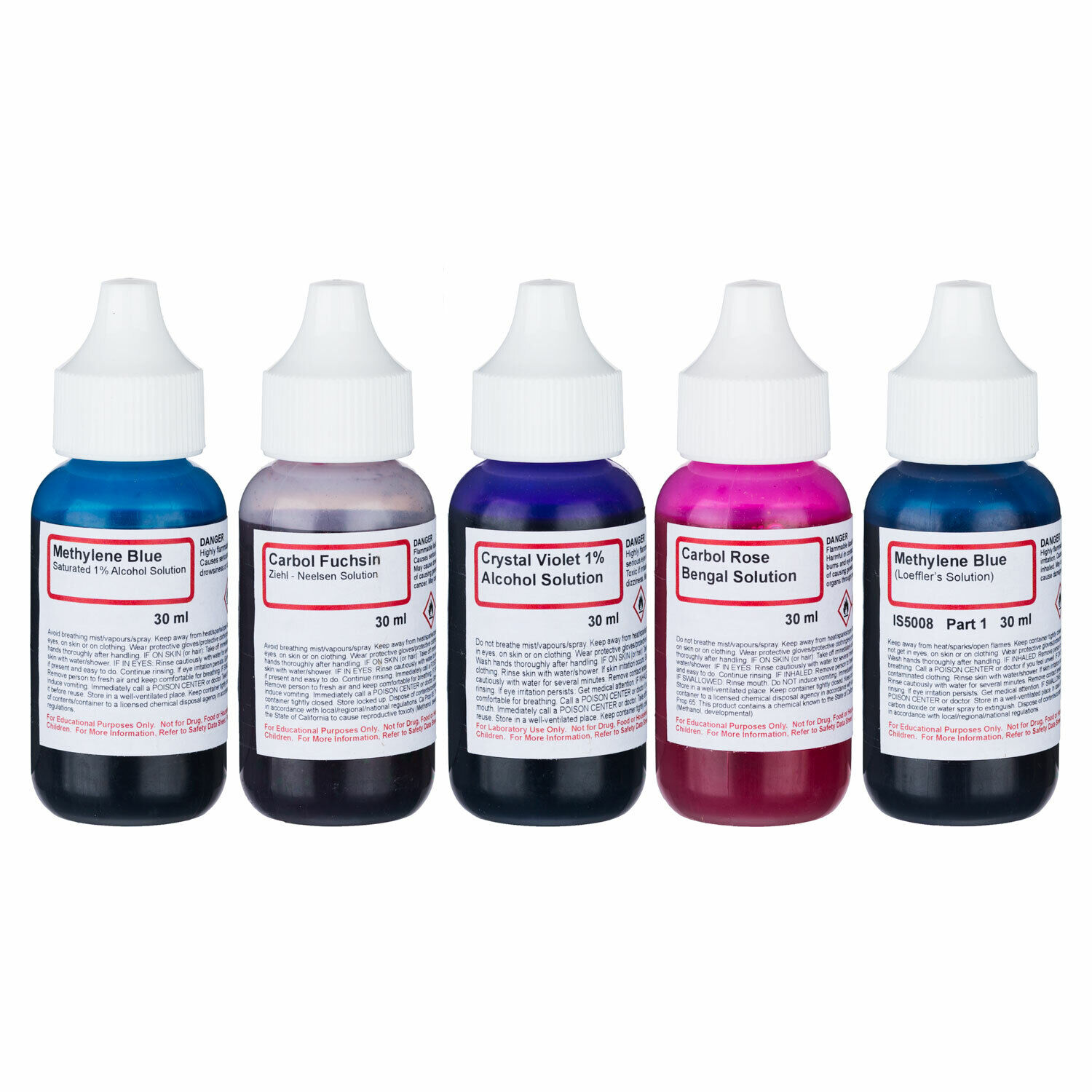 AmScope SK-5 Bacteria Stains Stain Kit - 5 Chemicals 4 Making Microscope Slides
