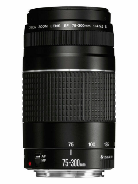 (Open Box) Canon EF 75-300mm f/4-5.6 III Telephoto Zoom Lens