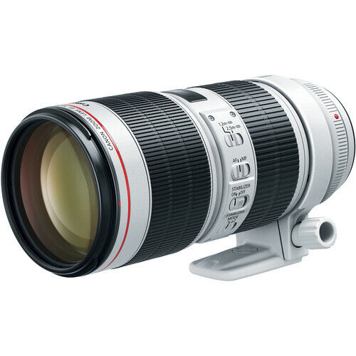Canon EF 70-200mm f/2.8L IS III USM Lens - 3044C002